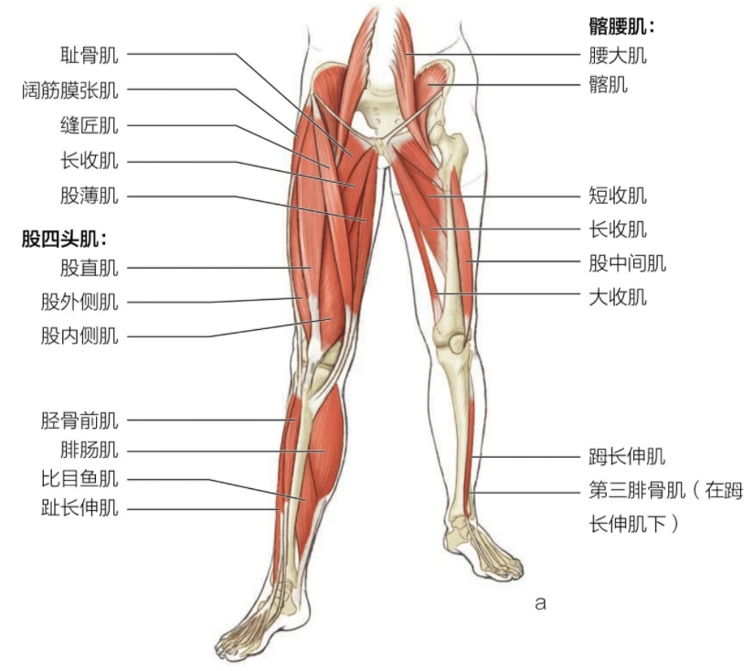 如何通过团队协作策略提升整体篮球水平_2