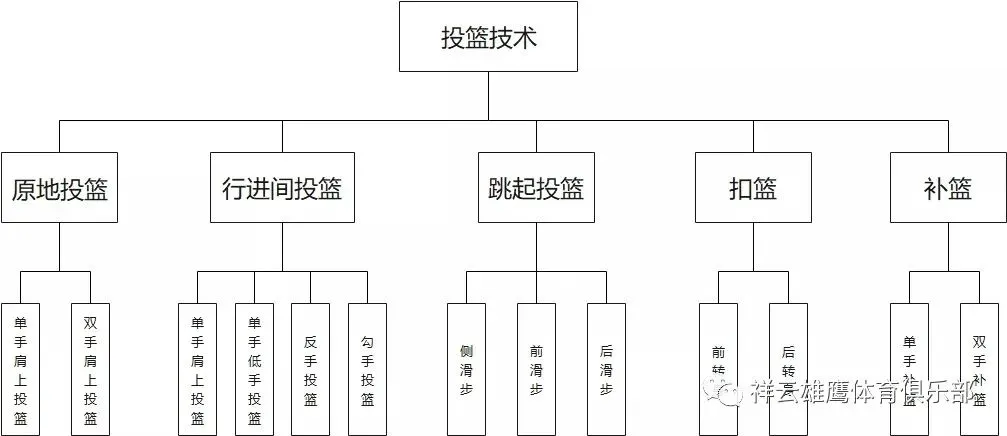 如何借助篮球榜样的力量提升团队协作能力_1